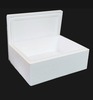 Box (62x42x32 cm) 25 Kg